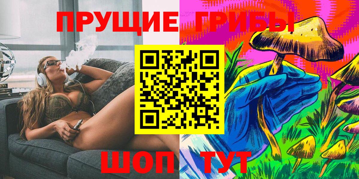 Псилоцибиновые грибы мицелий Саяногорск